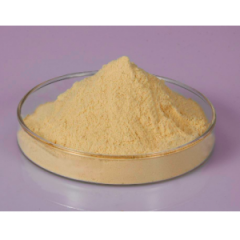 Soy Peptone suppliers