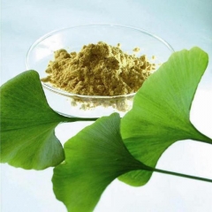 buy Ginkgo Biloba Extract CAS 90045-36-6 china suppliers manufacturers