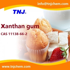 Xanthan gum suppliers suppliers