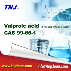 Valproic acid (2-Propylpentanoic acid) CAS 99-66-1 suppliers