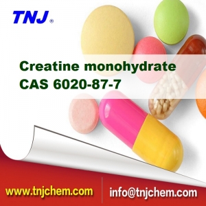 CAS No.: 6020-87-7, Creatine monohydrate suppliers suppliers