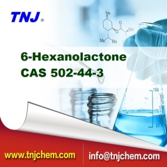 CAS 502-44-3, 6-Hexanolactone suppliers price suppliers