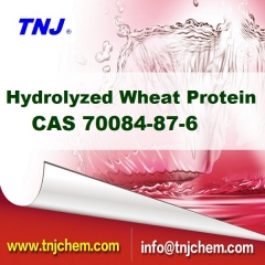 CAS 70084-87-6, China Hydrolyzed Wheat Protein suppliers price suppliers