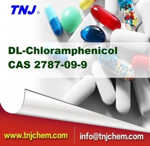 buy DL-chloramphenicol Synthomycin suppliers price