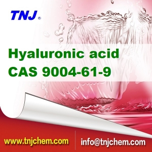 buy Hyaluronic Acid CAS No: 9004-61-9 suppliers manufacturers