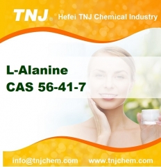 L-Alanine price suppliers