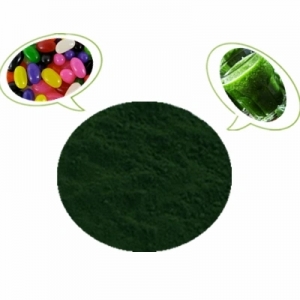 buy Copper chlorophyll suppliers manufacturers