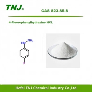 4-Fluorophenylhydrazine hydrochloride/HCL CAS 823-85-8 suppliers