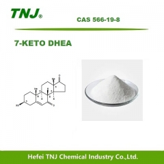 7-Keto-dehydroepiandrosterone 7-KETO DHEA CAS 566-19-8