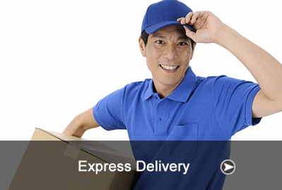 COURIER EXPRESS DELIVERY