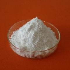 Sodium methylparaben CAS 5026-62-0 suppliers