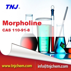 CAS 110-91-8 suppliers