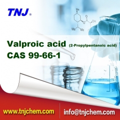 Valproic acid (2-Propylpentanoic acid) CAS 99-66-1 suppliers