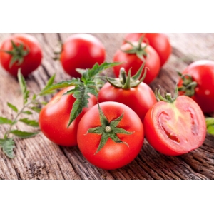 Lycopene CAS 502-65-8 suppliers