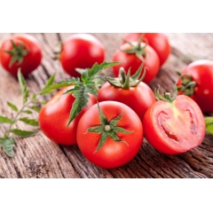 Lycopene CAS 502-65-8 suppliers