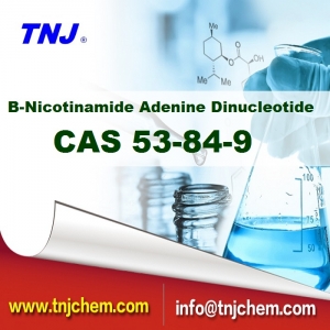 beta-Nicotinamide Adenine Dinucleotide CAS 53-84-9 suppliers