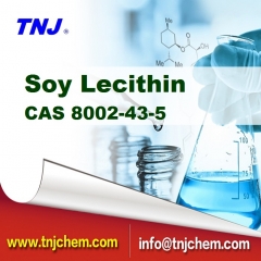 soy lecithin suppliers