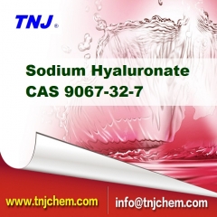buy Sodium Hyaluronate suppliers price