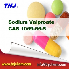 Sodium Valproate CAS 1069-66-5 suppliers