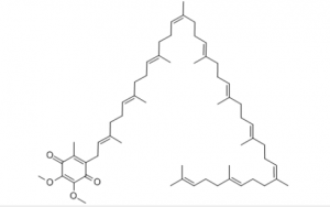 buy Ubidecareone (Q10) CAS 303-98-0 suppliers