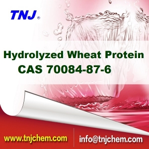 China Hydrolyzed Wheat Protein suppliers, CAS 70084-87-6 suppliers