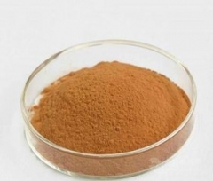 buy Dendrobium extract CAS 2115-91-5 suppliers