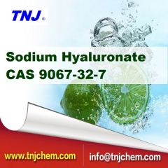 CAS 9067-32-7, China Sodium Hyaluronate suppliers price suppliers