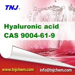 Buy Hyaluronic acid powder CAS 9004-61-9 suppliers manufacturers