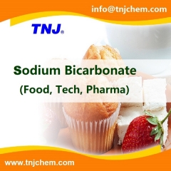 Food Grade Sodium Bicarbonate CAS 144-55-8 suppliers