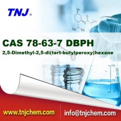 CAS 78-63-7, 2,5-Dimethyl-2,5-di(tert-butylperoxy)hexane BPDH/DBPH suppliers price suppliers