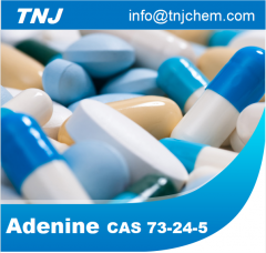 Buy Adenine CAS No 73-24-5