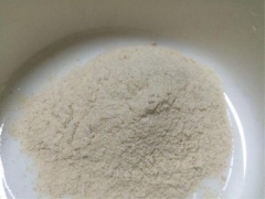 Oseltamivir phosphate CAS 204255-11-8 suppliers