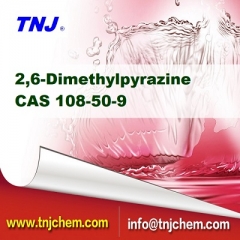 2,6-Dimethylpyrazine CAS 108-50-9 suppliers