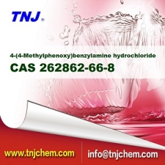 4-(4-Methylphenoxy)benzylamine hydrochloride CAS 262862-66-8 suppliers