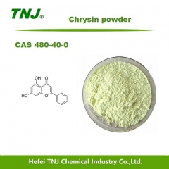 Chrysin powder CAS 480-40-0 suppliers