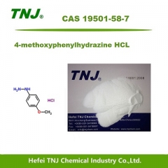 4-methoxyphenylhydrazine hydrochloride/HCL CAS 19501-58-7 suppliers