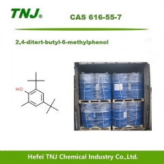 2,4-ditert-butyl-6-methylphenol CAS 616-55-7 suppliers