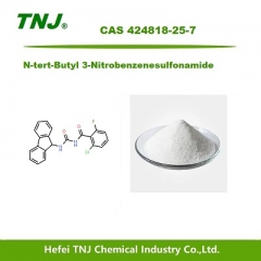 N-tert-Butyl 3-Nitrobenzenesulfonamide CAS 424818-25-7 suppliers