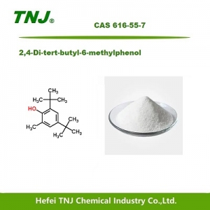 2,4-Di-tert-butyl-6-methylphenol CAS 616-55-7 suppliers