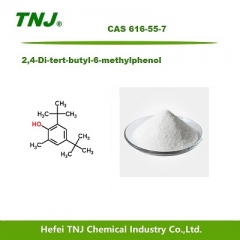2,4-Di-tert-butyl-6-methylphenol CAS 616-55-7 suppliers