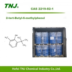 2-tert-Butyl-6-methylphenol CAS 2219-82-1 suppliers