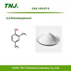 2,4-Dimethylphenol CAS 105-67-9 suppliers