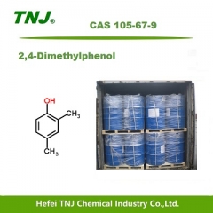 2,4-Dimethylphenol CAS 105-67-9 suppliers