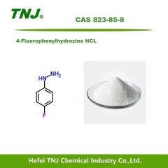 4-Fluorophenylhydrazine hydrochloride/HCL CAS 823-85-8 suppliers