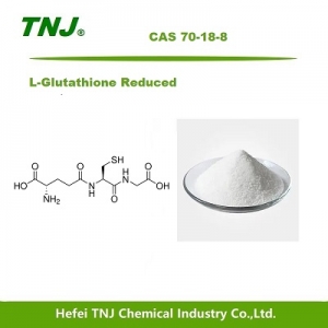 China origin L-Glutathione Reduced in powder form suppliers