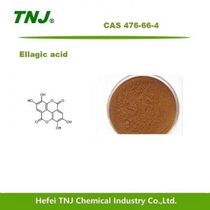 Buy Ellagic acid at best price from China factory suppliers suppliers