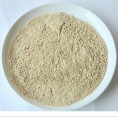buy Rice protein powder