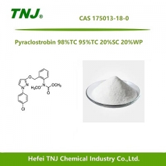 Pyraclostrobin 98%TC 20%SC 20%WP CAS 175013-18-0