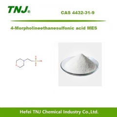 4-Morpholineethanesulfonic acid MES CAS 4432-31-9 suppliers