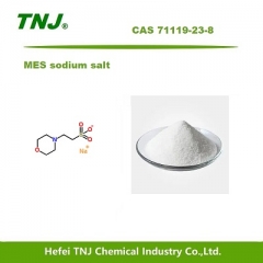 MES sodium salt CAS 71119-23-8 suppliers